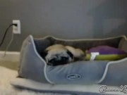 Briana Lee Member Show April 12th 2017 14/16