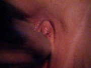 Making kitty purr - Screenshot 9 of 16 - Masturbate