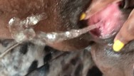 Pee when squirt - Cumming, fingering peeing all over myself. extreme close up