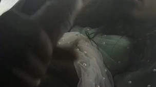 Bus Ride Bust'n Snippet