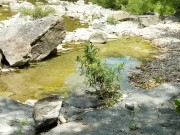 XXX Follow Me Down to the River - Sterling's Best Surprise Birthday Bikini Fuck 16/16