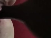 Brush fuck - Screenshot 11 of 16 - Wet Pussy
