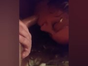 Wife sucking cock 14/16
