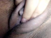 Kitty kitty - Screenshot 11 of 16 - HD
