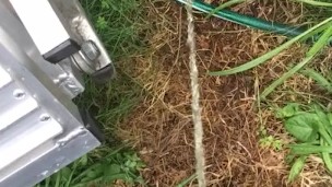 Pissing outside