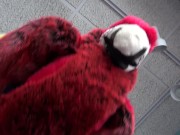 AllieBay Blonde Outside Snow Blooper to pajamas in the morning masturbation 1/16