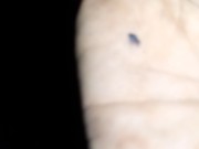 Se la meto toda bien adentro 1/16