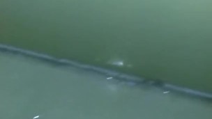 Wet Walls