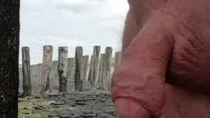 public plassen