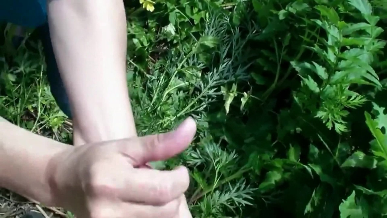 Compilation Blow job Blowjob. Cum on face Sperm mouth StepMom sucks GLOWUP2018 - RedTube