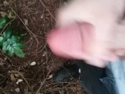 Having fun in the wood