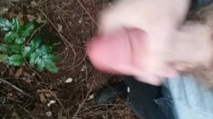 Having fun in the wood