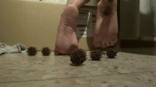 new soles on thorn plants part two