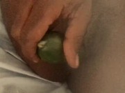 Cucumber a day keeps the Pussy Away