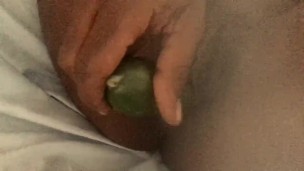 Cucumber a day keeps the Pussy Away