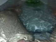 Taking a bath - Screenshot 1 of 16 - HD