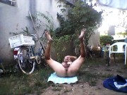 milking cock from beetween 9/16