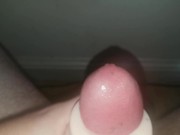 Fucked in the Ass - THRUST Pocket Anal Toy