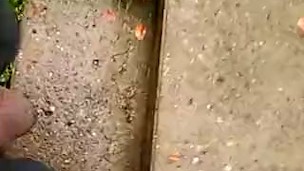 Pee while I walk