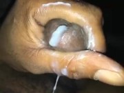 Late night nut 15/16