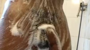 hard big dick