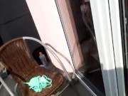 Flower power - Screenshot 8 of 16 - Masturbation