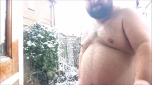 bear in snow