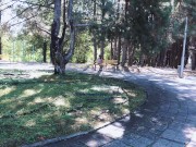 Public sex in a parc,she loves deepthroat and anal sex. 3/16