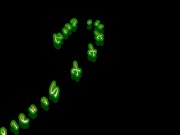 Nicolette Wetone Blow Bang at a Play Party 1/16