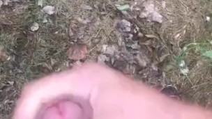 Jerking in the woods
