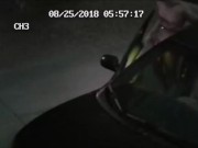 TOOK A PISS IN THE CAR