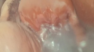 Aquacoco