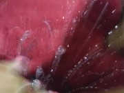 SQUIRT.AQUAFINA WATERFLOW