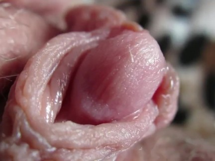 BIG CLIT COMPILATION 2. HD