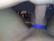 Masturbate...FUCK...Creampie..Thems the rules 11/16