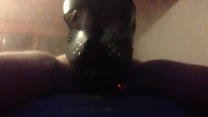 pup spar clip