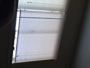 Phat Ass redbone take bbc 2/16