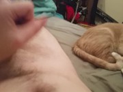 Moaning for a fan before Cumming hard