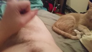 Moaning for a fan before Cumming hard