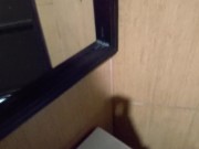 Sex in a public toilet (remastered) 1/16