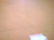 Sex in a public toilet (remastered) 6/16