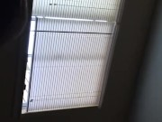 Phat Ass Redbone takes BBC 3/16