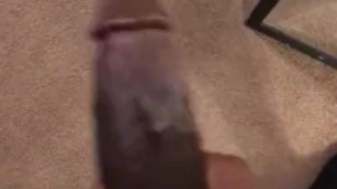 Morning Wood