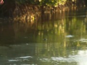 PEE at Sunset - Screenshot 14 of 16 - Ass Fuck
