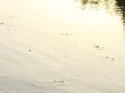 PEE at Sunset - Screenshot 15 of 16 - Outside