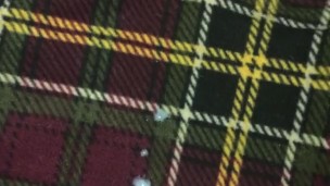 Quick Skeet on Plaid Sheets