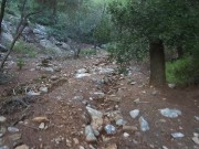 Rough Sex In The Forest Huge Cumload In Pussy Intense Orgasms 1/16