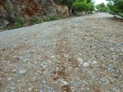 Rough Sex In The Forest Huge Cumload In Pussy Intense Orgasms 16/16