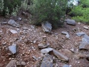 Rough Sex In The Forest Huge Cumload In Pussy Intense Orgasms 2/16