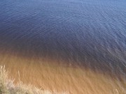 Indian College Boy Fucks a Hot Brunette Teacher on Public Beach Sex 11/16